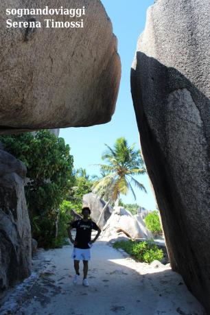 Seychelles - Rocce di granito e palme a La Digue